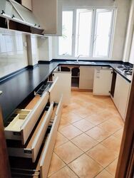 KJ Mansion (D19), Apartment #559725911